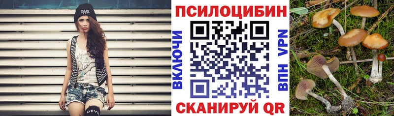 Псилоцибиновые грибы мицелий Знаменск